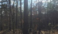 LOT 0A Tibbitts Rd Dallas, GA 30132