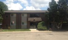 4425 Blackhawk Ln Apt 206 Lisle, IL 60532