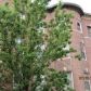 883 Harrison Ave #3, Boston, MA 02118 ID:14969034