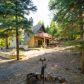 220 Grass Valley Rd, Lake Arrowhead, CA 92352 ID:14879881