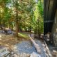 220 Grass Valley Rd, Lake Arrowhead, CA 92352 ID:14879883