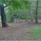 920 Black Bass Rd, Cohutta, GA 30710 ID:14964318