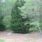 920 Black Bass Rd, Cohutta, GA 30710 ID:14964319