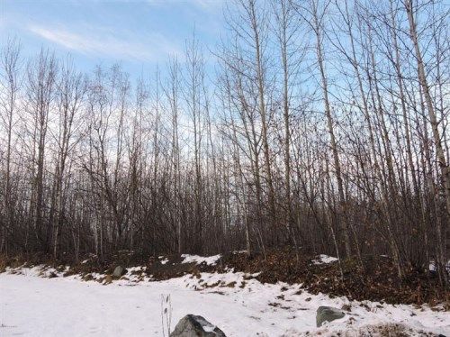 TR3 Park Drive, Chugiak, AK 99567