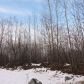 TR3 Park Drive, Chugiak, AK 99567 ID:14903253