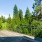 121 N Fairway Dr, Lake Arrowhead, CA 92352 ID:14880634