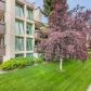 1200 I Street #707, Anchorage, AK 99501 ID:14877473