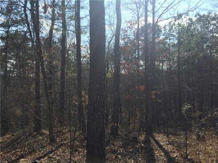 LOT 4A Tibbitts Rd, Dallas, GA 30132