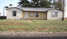 1356 Fm 2196 Brownfield, TX 79316