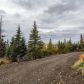 6185 Potter Valley Road, Anchorage, AK 99516 ID:14941353