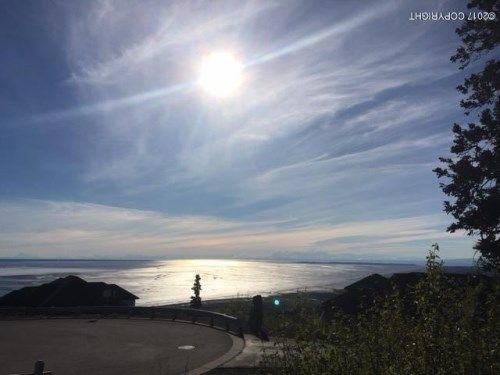 Lot 8 Olena Pointe Circle, Anchorage, AK 99516