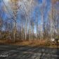 19369 Klondike Street, Chugiak, AK 99567 ID:14903178