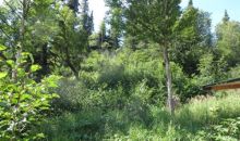 Lot 29 Portugal Circle Anchorage, AK 99516