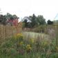 11562 Easton St, Alliance, OH 44601 ID:14914935