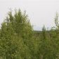 13870 W Moonrise Drive, Big Lake, AK 99652 ID:14898570