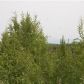 13870 W Moonrise Drive, Big Lake, AK 99652 ID:14955203