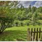 59 Mossy Rock Ct, Ellijay, GA 30540 ID:14952879