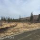 L9 B2 Potter Valley Road, Anchorage, AK 99516 ID:14950163