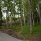 3021 Porcupine Trail Road, Anchorage, AK 99516 ID:14941520