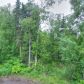 16100 Parksville Drive Chugiak, Chugiak, AK 99567 ID:14957860