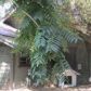 530 S Grape St, Medford, OR 97501 ID:15013187