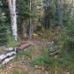 4000 Janet Lee Circle, Anchorage, AK 99516 ID:14941427