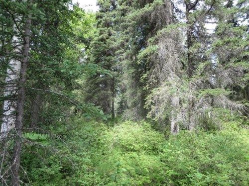 Lot 3 W Houston Lake Drive, Big Lake, AK 99652