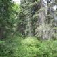 Lot 3 W Houston Lake Drive, Big Lake, AK 99652 ID:14898571