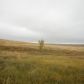 36510 East Ramah Rd, Ramah, CO 80832 ID:14879313