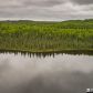 4664 Old Yacht Club, Big Lake, AK 99652 ID:14955106