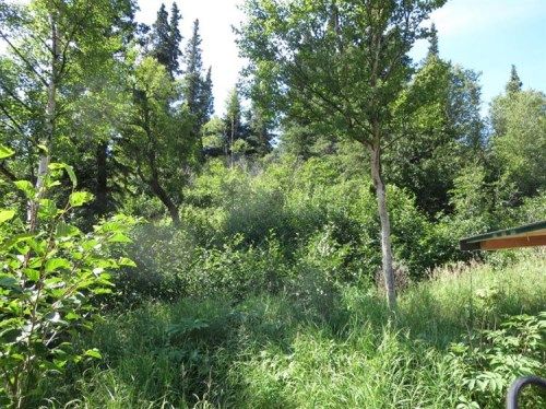 Lot 29 Portugal Circle, Anchorage, AK 99516