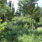 Lot 29 Portugal Circle, Anchorage, AK 99516 ID:15023131