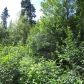 Lot 29 Portugal Circle, Anchorage, AK 99516 ID:15023134