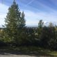 14305 Chawa Circle, Anchorage, AK 99516 ID:14947181