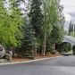 16243 Headlands Circle, Anchorage, AK 99516 ID:14942273