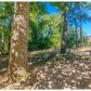 356 Rockland Way, Lawrenceville, GA 30046 ID:14962432