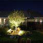 334 Banuelo Drive, Henderson, NV 89014 ID:14994626