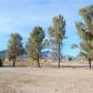 1851 West Scales Way, Pahrump, NV 89060 ID:15078562