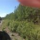 13715 W Cherrywood Drive, Big Lake, AK 99652 ID:14955022