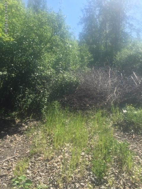 L27 B3 Vacant Land, Chugiak, AK 99567