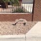 3904 Six Gun Road, North Las Vegas, NV 89032 ID:14997549