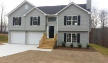 8825 Shallow Creek Trl Clermont, GA 30527