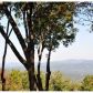 23 Resting Bear Ridge, Jasper, GA 30143 ID:15147595