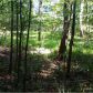 000 Pleasant Valley Rd, Talking Rock, GA 30175 ID:15155614