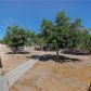 3710 Sandhill Road, Las Vegas, NV 89121 ID:15089744