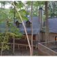 11 Poplar Circle, Dawsonville, GA 30534 ID:15135373