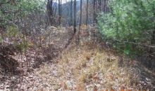 LOT 19 JOSHUA RD Rosman, NC 28772