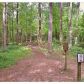 00 Jarrard Gap Rd, Suches, GA 30572 ID:15154883