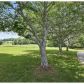 100 Willow Pond Rd, Dahlonega, GA 30533 ID:15154485