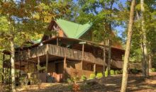 25 Channing View Morganton, GA 30560